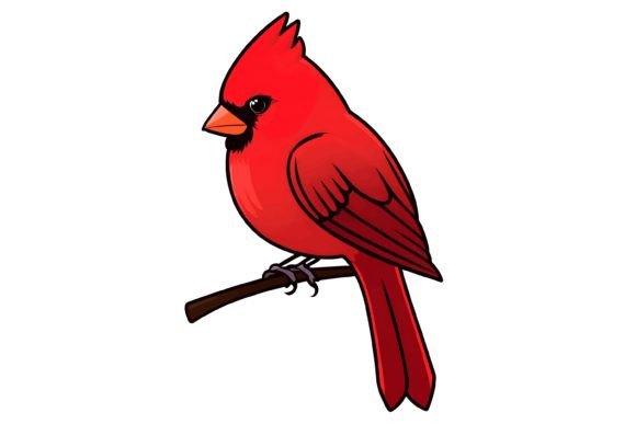 Download Cardinal Bird Illustration Png - Bird illustration png Collection